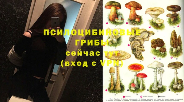 героин Вяземский