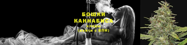 круглые Вязьма