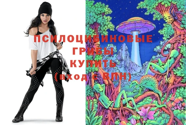 героин Вяземский