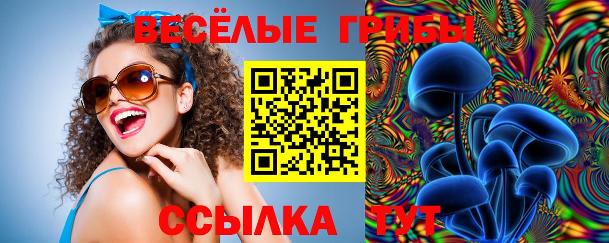 как найти   Псилоцибиновые грибы Magic Shrooms  Вход с VPN  Ковров 