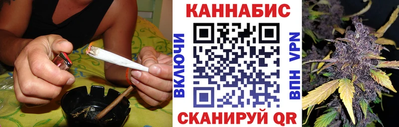Купить где  Ковров  Шишки марихуана ГИДРОПОН 